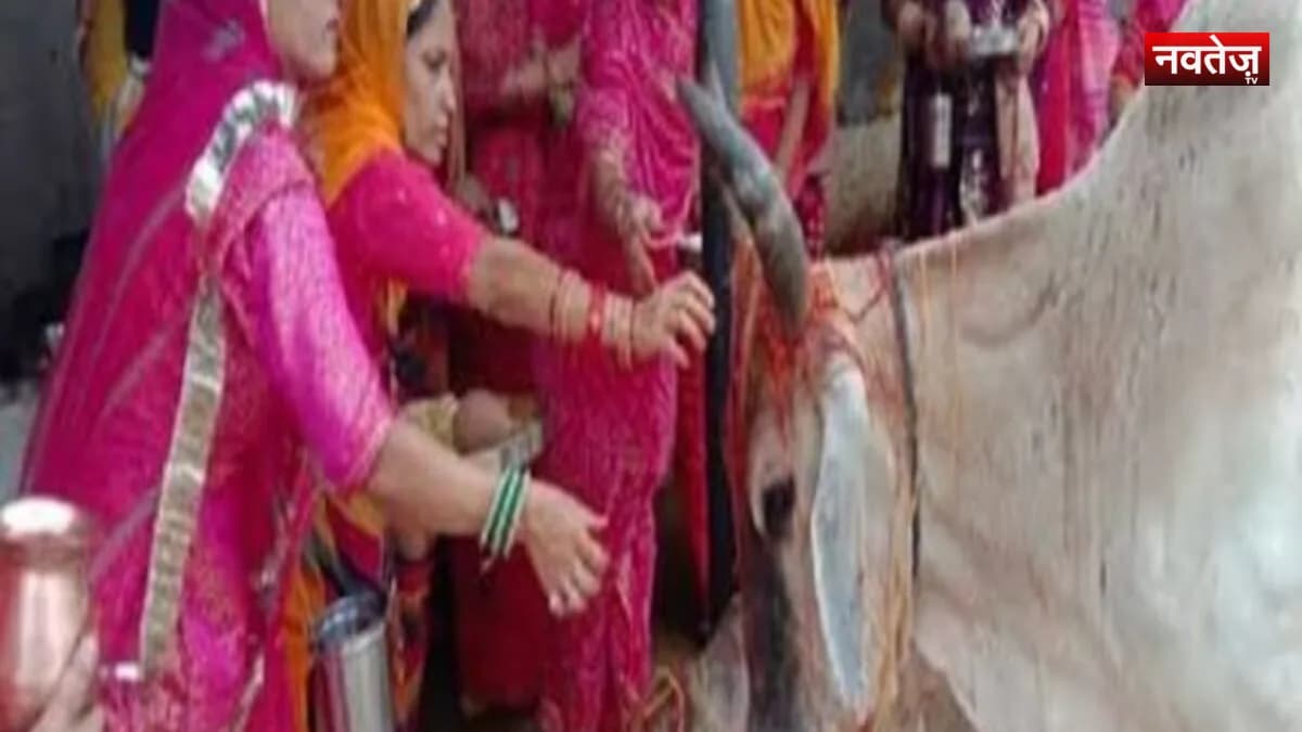 कई टोगड़ो ह्वे ज्यूं लारे लारे घूमे