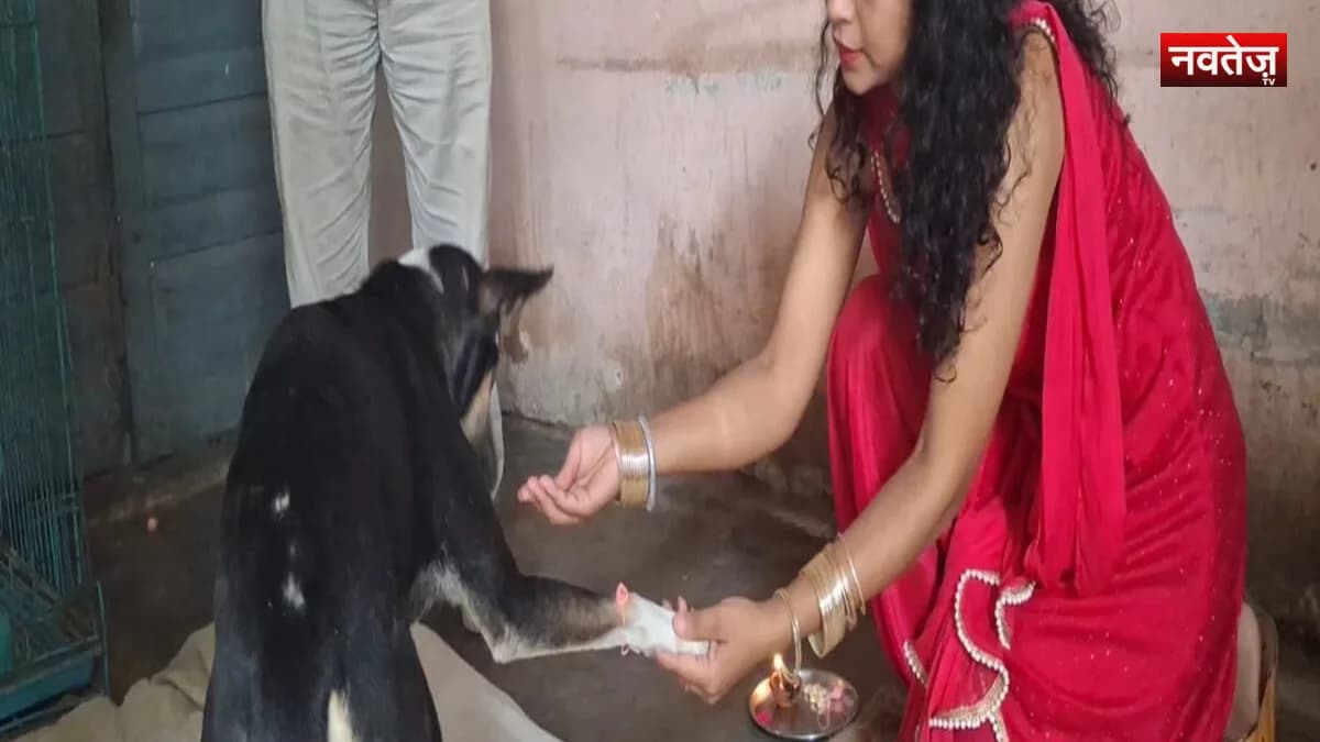 इंसान और बेजुबान के बीच अनोखा रिश्ता