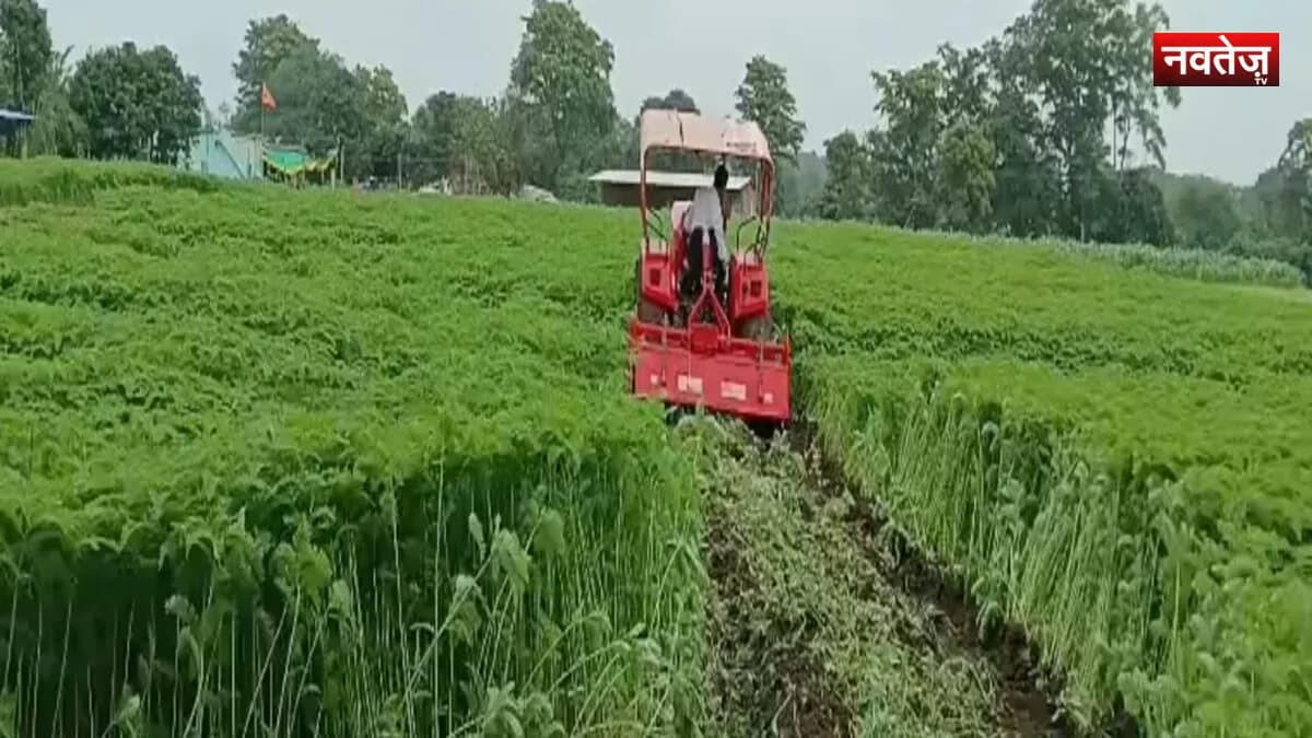 प्राकृतिक खेती की ओर बढ़ रहे कामठी के किसान