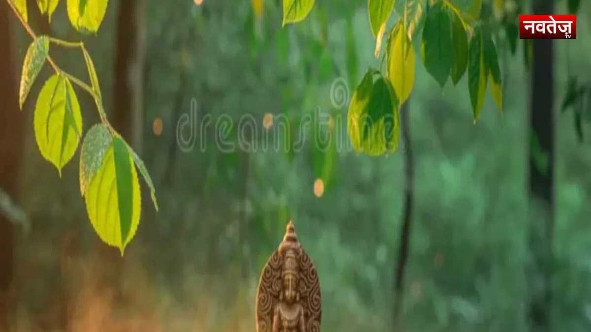 हरियाली अमावस्या 2026: 12 अगस्त को सूर्य ग्रहण, जानें भारत में सूतक और पूजा के नियम