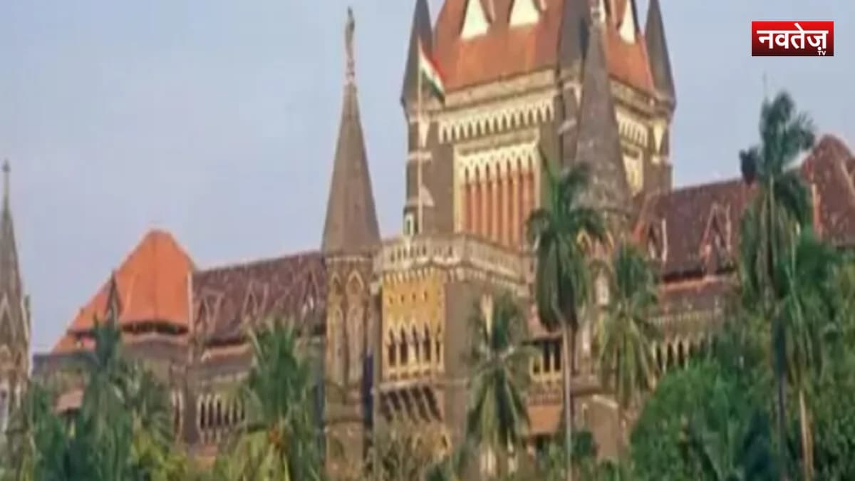 बॉम्बे हाईकोर्ट की FDA को दो टूक: अमेजन वेयरहाउस कार्रवाई पर कहा- 'मच्छर मारने के लिए तलवार चला रहे हैं'